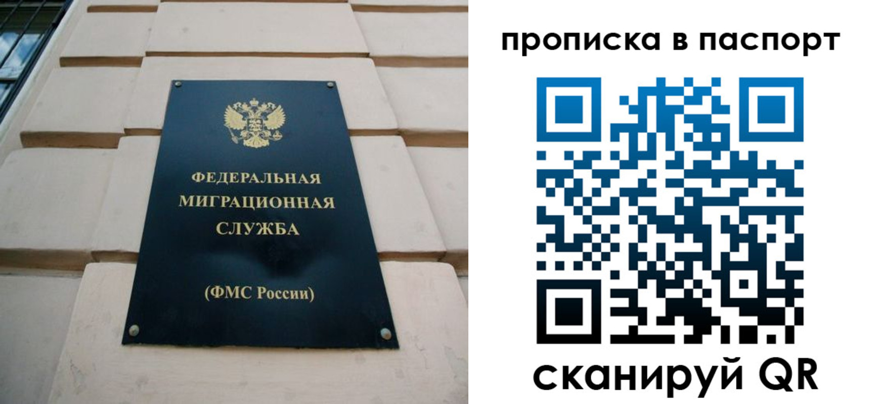 прописка для работы в Нелидово